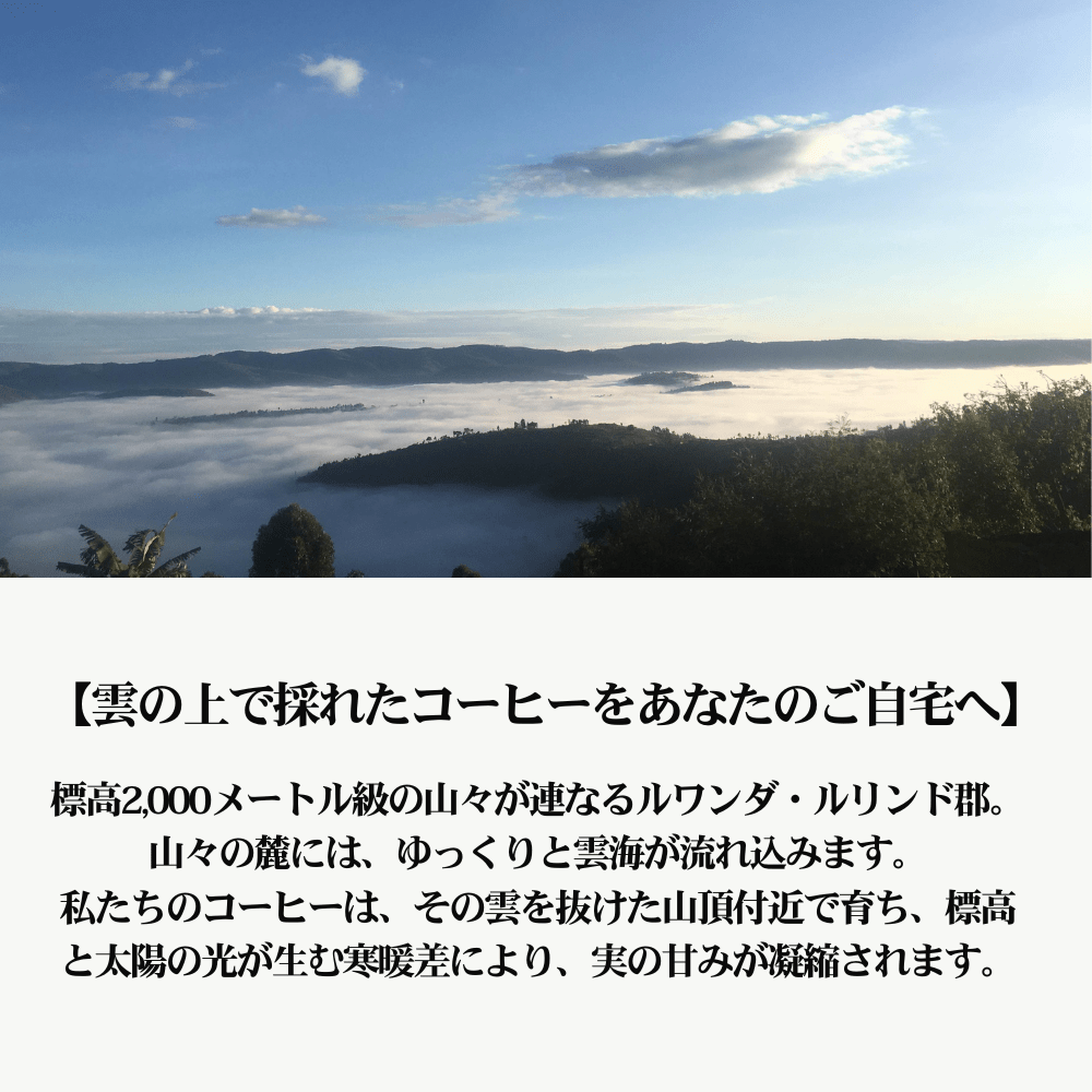 オリジナルドリップバッグ “今日のルワンダ” 10個セット【送料無料】解約自由な毎月定期便でドリップバッグ１つが実質無料！