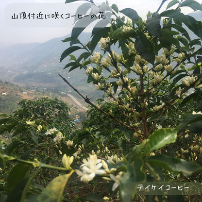 生産地応援ルワンダ産スペシャリティコーヒー 100g（ミディアムロースト）